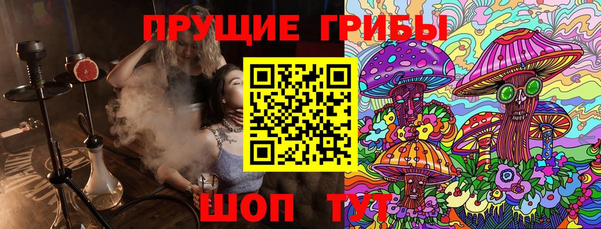 Мурманск  Галлюциногенные грибы Cubensis  как найти закладки  Вход с VPN 