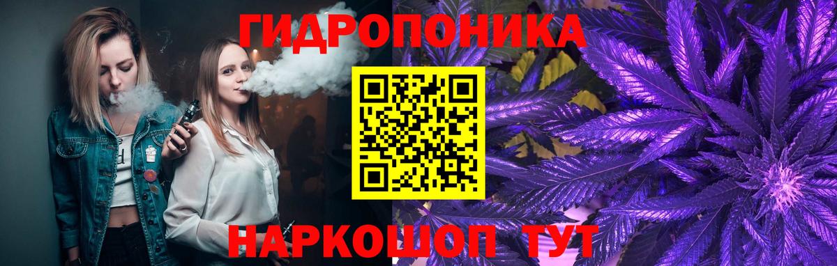 Бошки марихуана Ganja  Бошки Шишки конопля  Бошки марихуана Bruce Banner  Мурманск  Вход с VPN 